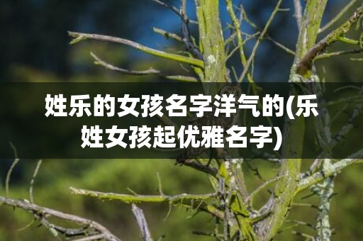 姓乐的女孩名字洋气的(乐姓女孩起优雅名字)