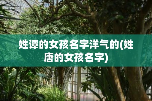 姓谭的女孩名字洋气的(姓唐的女孩名字)