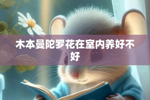 木本曼陀罗花在室内养好不好