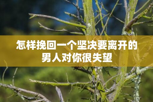 怎样挽回一个坚决要离开的男人对你很失望