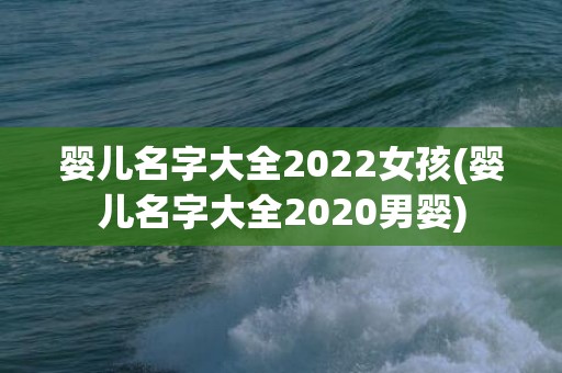婴儿名字大全2022女孩(婴儿名字大全2020男婴)