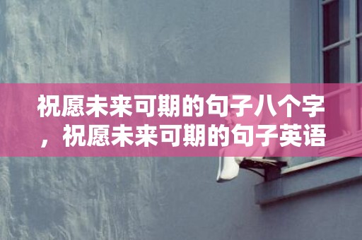 祝愿未来可期的句子八个字，祝愿未来可期的句子英语版？祝人前程似锦的文艺句子