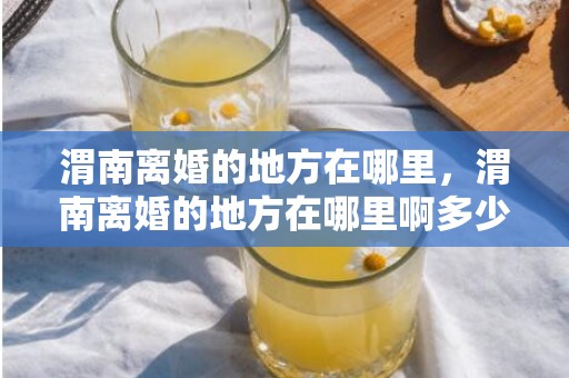 渭南离婚的地方在哪里，渭南离婚的地方在哪里啊多少钱