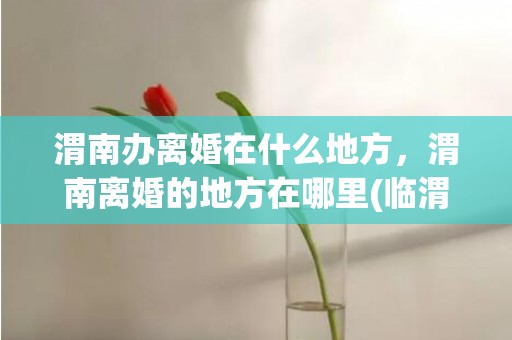 渭南办离婚在什么地方，渭南离婚的地方在哪里(临渭区婚姻登记处地址)