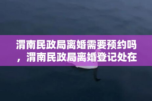 渭南民政局离婚需要预约吗，渭南民政局离婚登记处在什么地方？民政局离婚是什么时间