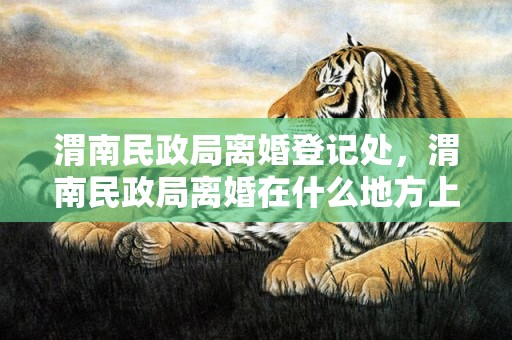 渭南民政局离婚登记处，渭南民政局离婚在什么地方上班时间