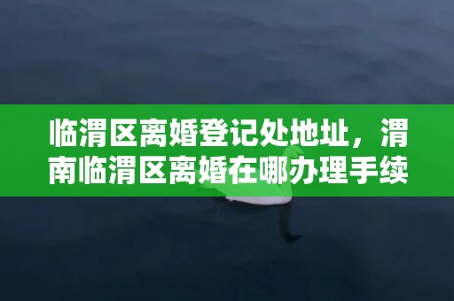 临渭区离婚登记处地址，渭南临渭区离婚在哪办理手续