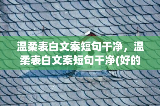 温柔表白文案短句干净，温柔表白文案短句干净(好的文案句子)