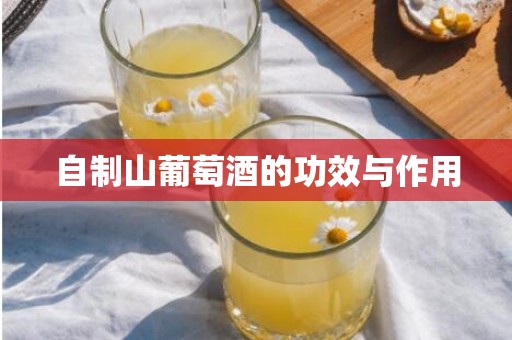 自制山葡萄酒的功效与作用