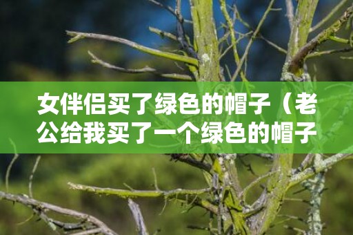 女伴侣买了绿色的帽子（老公给我买了一个绿色的帽子）