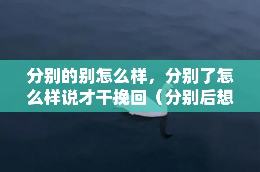 分别的别怎么样，分别了怎么样说才干挽回（分别后想挽留怎么说）