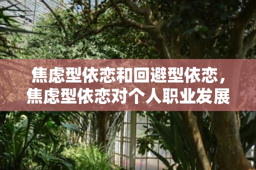 焦虑型依恋和回避型依恋，焦虑型依恋对个人职业发展的影响及其应对策略？焦虑型依恋与回避型依恋之间的关系
