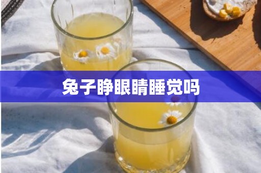兔子睁眼睛睡觉吗