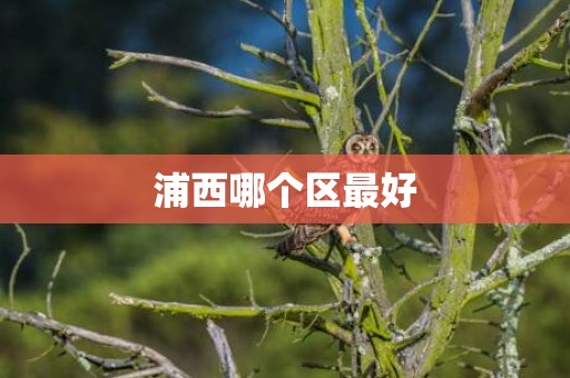 浦西哪个区最好