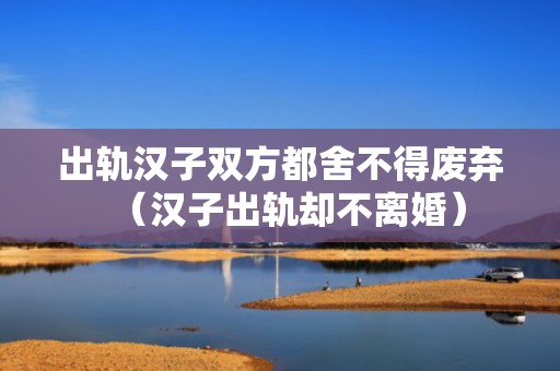 出轨汉子双方都舍不得废弃（汉子出轨却不离婚）