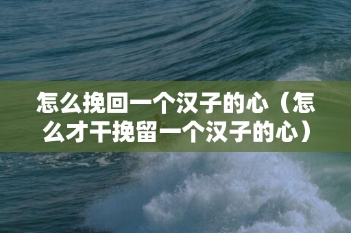 怎么挽回一个汉子的心（怎么才干挽留一个汉子的心）