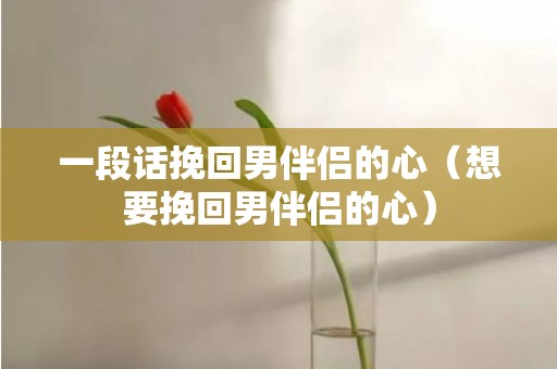 一段话挽回男伴侣的心（想要挽回男伴侣的心）