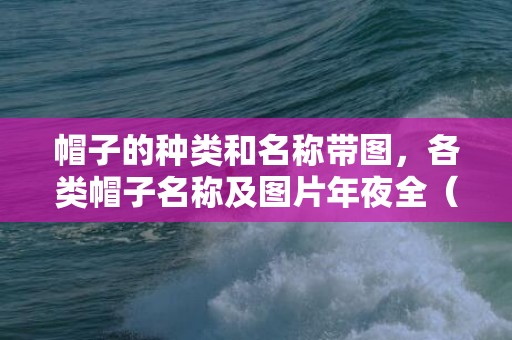 帽子的种类和名称带图，各类帽子名称及图片年夜全（各类各样的帽子）