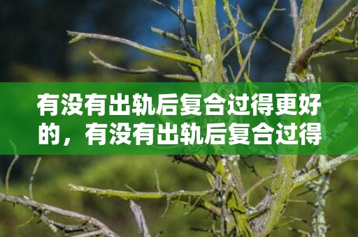 有没有出轨后复合过得更好的，有没有出轨后复合过得更好的（跟出轨的人又复合了）