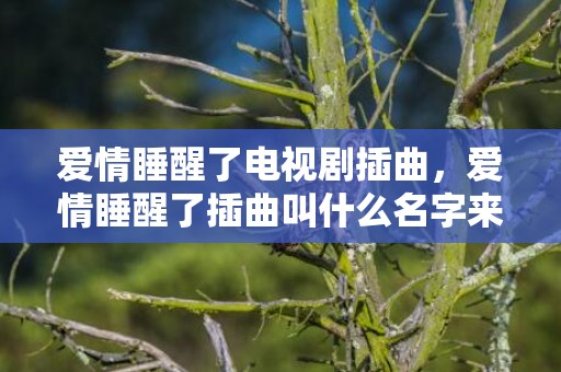 爱情睡醒了电视剧插曲，爱情睡醒了插曲叫什么名字来着