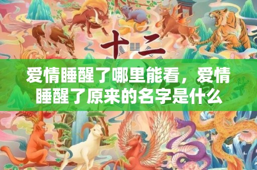 爱情睡醒了哪里能看，爱情睡醒了原来的名字是什么