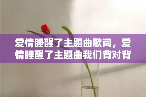 爱情睡醒了主题曲歌词，爱情睡醒了主题曲我们背对背拥抱是什么歌名