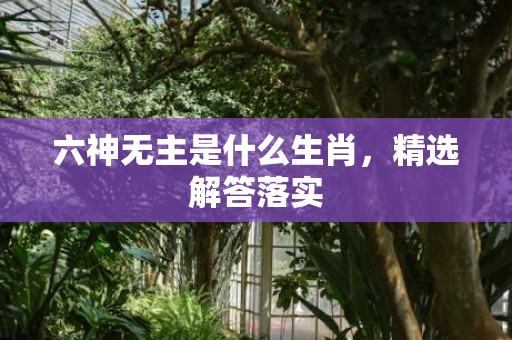 六神无主是什么生肖，精选解答落实