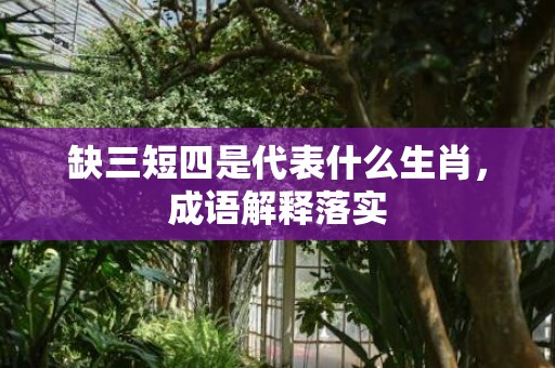 缺三短四是代表什么生肖，成语解释落实