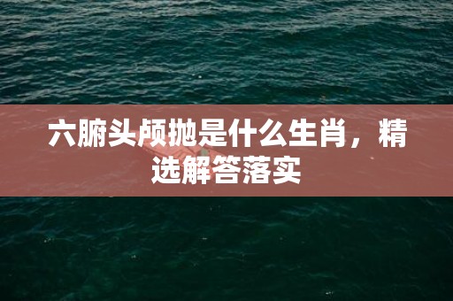六腑头颅抛是什么生肖，精选解答落实