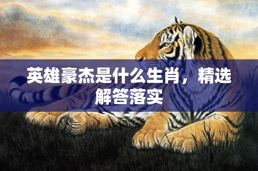 英雄豪杰是什么生肖，精选解答落实