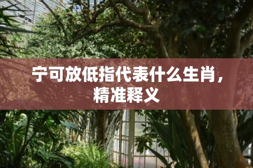 宁可放低指代表什么生肖，精准释义
