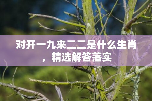 对开一九来二二是什么生肖，精选解答落实