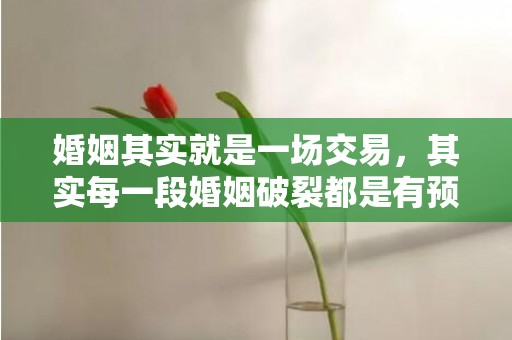 婚姻其实就是一场交易，其实每一段婚姻破裂都是有预兆的!