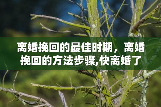 离婚挽回的最佳时期，离婚挽回的方法步骤,快离婚了还能挽回吗