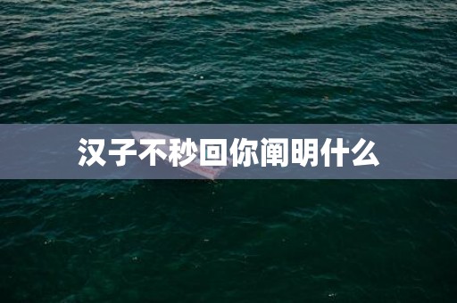 汉子不秒回你阐明什么