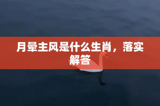 月晕主风是什么生肖，落实解答