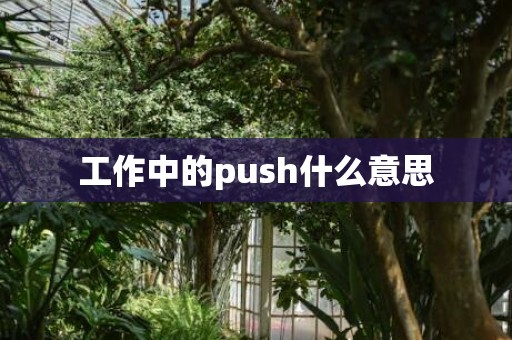 工作中的push什么意思