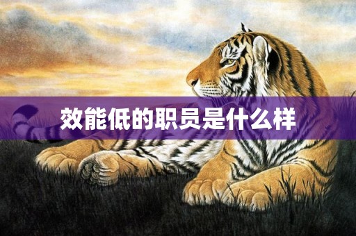 效能低的职员是什么样