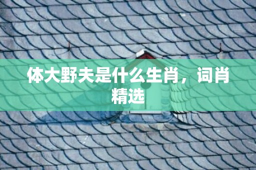 体大野夫是什么生肖，词肖精选