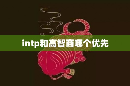 intp和高智商哪个优先