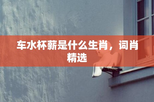 车水杯薪是什么生肖，词肖精选