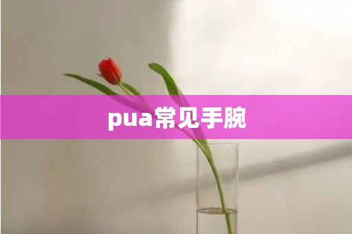 pua常见手腕