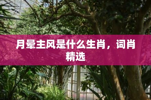 月晕主风是什么生肖，词肖精选