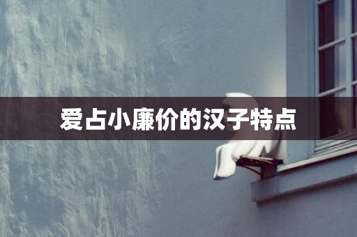 爱占小廉价的汉子特点