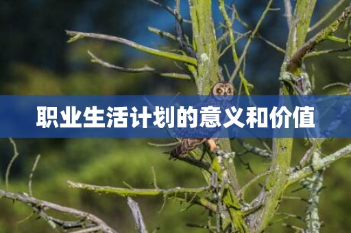 职业生活计划的意义和价值