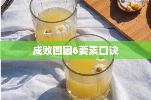 成败回因6要素口诀