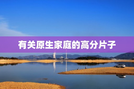 有关原生家庭的高分片子