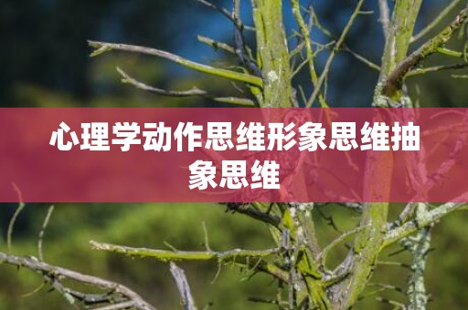 心理学动作思维形象思维抽象思维