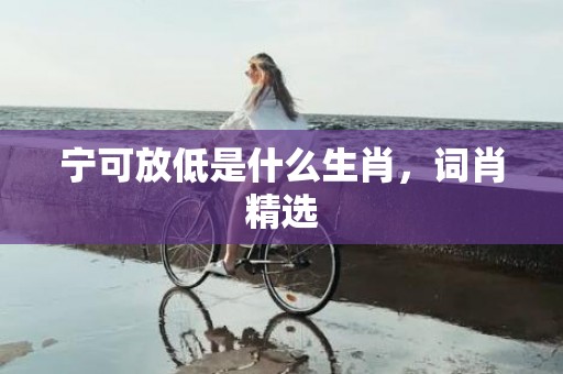 宁可放低是什么生肖，词肖精选