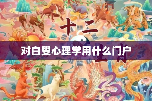 对白叟心理学用什么门户